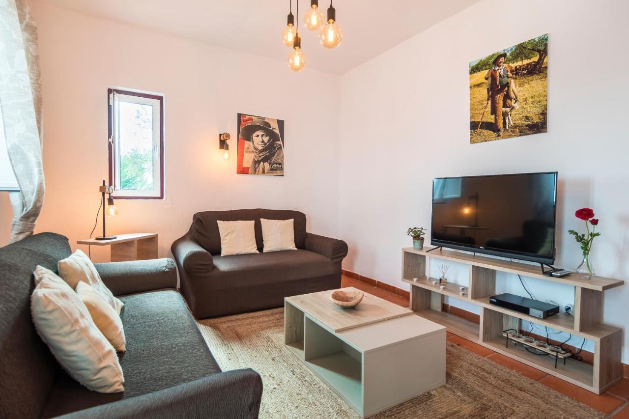 Monte Da Cabeca Gorda Bed & Breakfast Alcáçovas Dış mekan fotoğraf
