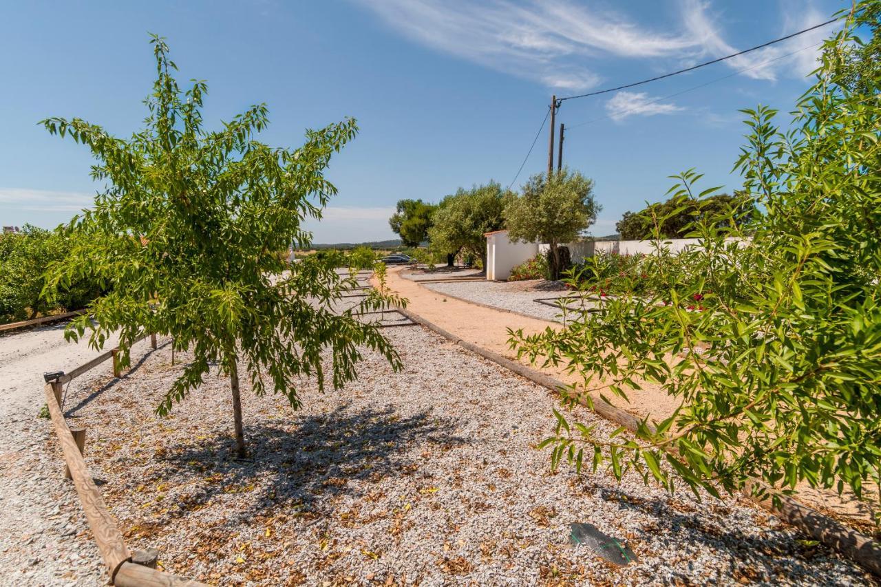 Monte Da Cabeca Gorda Bed & Breakfast Alcáçovas Dış mekan fotoğraf