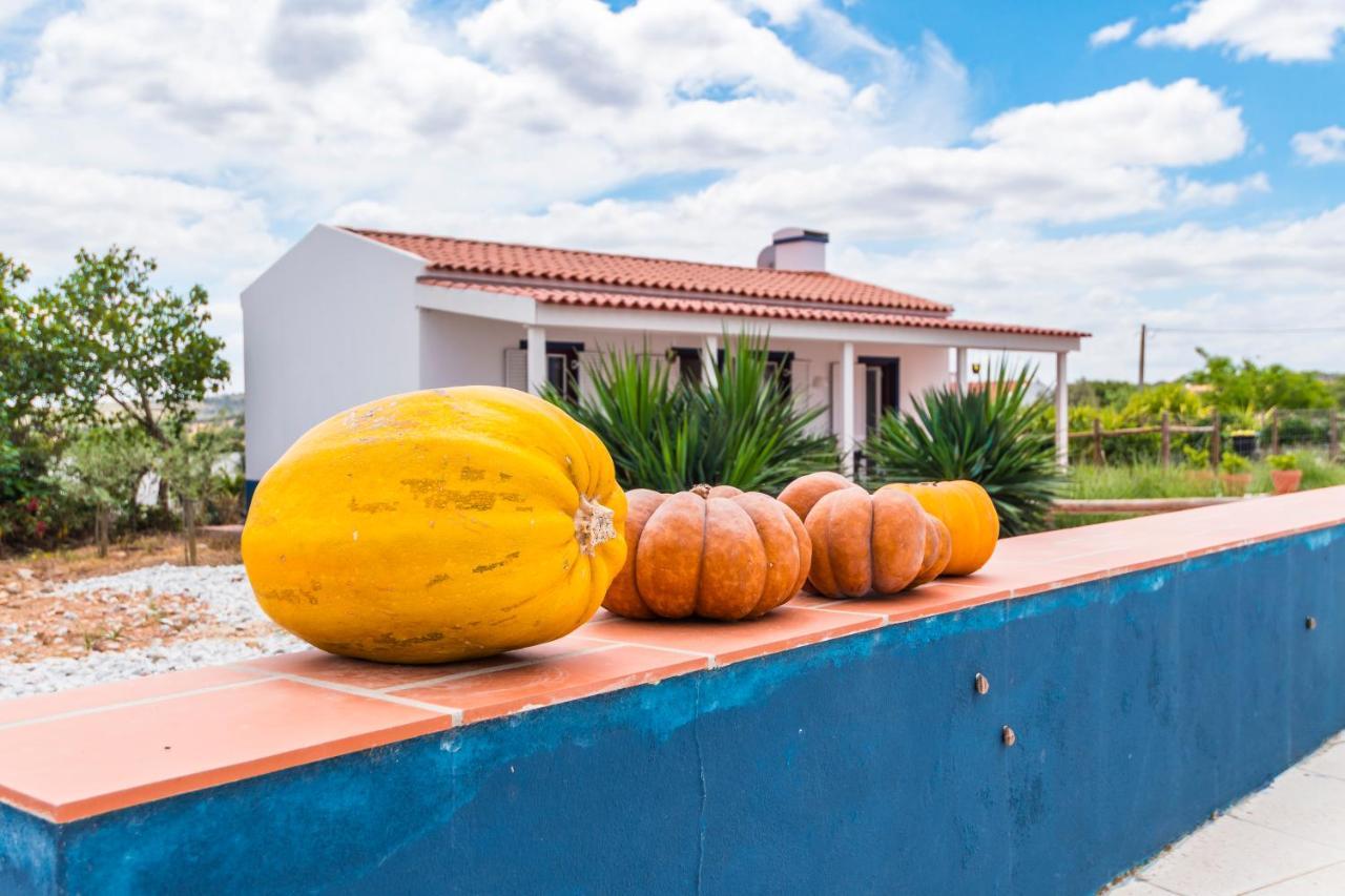 Monte Da Cabeca Gorda Bed & Breakfast Alcáçovas Dış mekan fotoğraf